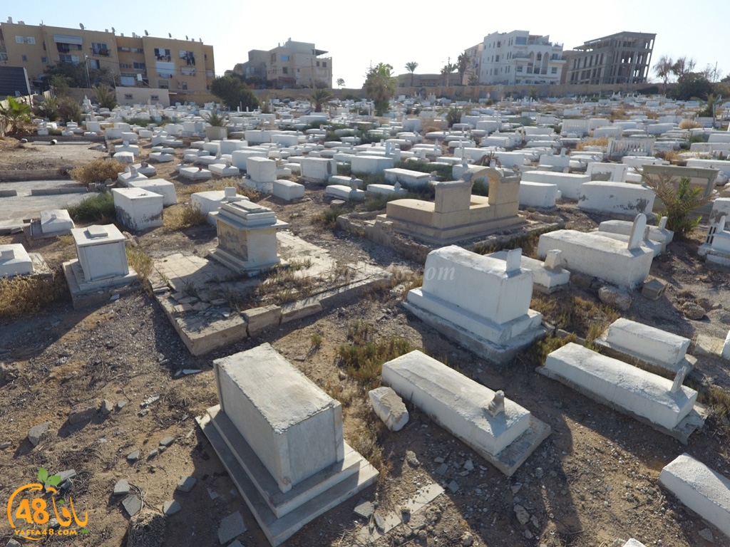 kazakhananna (21).jpg